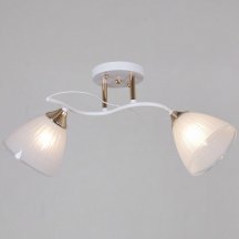 Потолочная люстра Reluce 64460-0.3-02 WH+FG