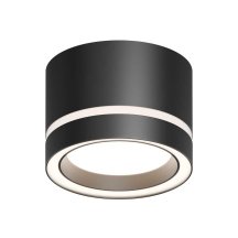 Потолочный светильник Apeyron Ray 16-121