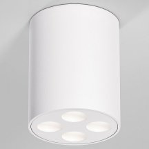 Потолочный светильник Elektrostandard 25111/LED a067483