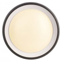 Накладной светильник Deko-Light Canis 731043