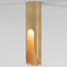 Потолочный светодиодный светильник Elektrostandard Apex 25113/LED a068290