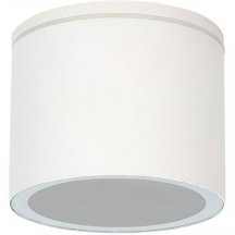 Потолочный светильник уличный Arte Lamp Piautos A1913PF-1WH