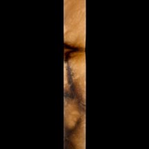 Настенный светильник Magnifico FL1195-6W