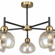 Потолочная люстра Liberty 2109/5P