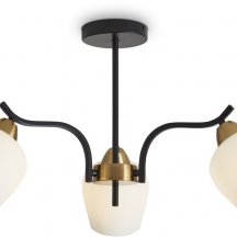 Потолочная люстра Shadow FR5422PL-03BZ