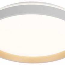 Накладной светильник Citilux ENZO CL753450G