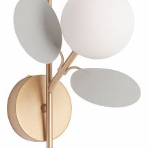 Бра Arte Lamp Peacock A1369AP-1GY