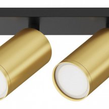 Немецкий потолочный светильник Maytoni Focus S C051CL-U-02BMG