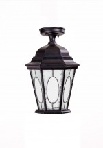 Потолочный светильник уличный Oasis Light ASTORIA 2M 91405MA Bl овал