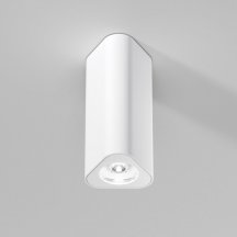 Потолочный светильник Elektrostandard 25110/LED a067062 Потолочный светильник Elektrostandard 25110/LED a067062