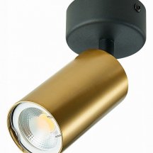 Спот ST Luce ST303.202.01