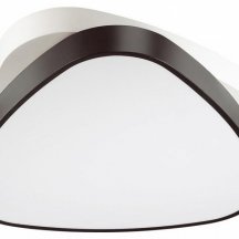 Потолочный светильник для чтения Lumion  4510/72CL