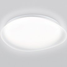 Потолочный светильник Ambrella light Orbital FZ1610