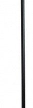 Настенный светодиодный светильник Loft IT Rays 10054BK