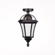 Потолочный светильник уличный Oasis Light ROMA S 95205SA Bl