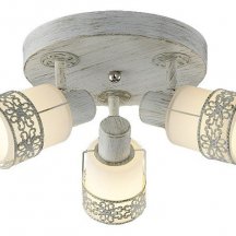 Спот Eurosvet  20026/3 белый с золотом