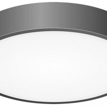 Потолочный светильник для чтения Citilux  cL72424V1