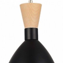 Подвесной светильник EVOLUCE VISTA SLE1256-403-01