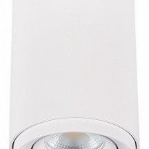 Накладной светильник SIMPLE STORY 2065 2065-1CLW