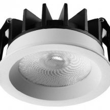 Точечный светильник Novotech Rayne 359840