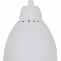 Подвесной светильник Arte Lamp Braccio A2054SP-1WH