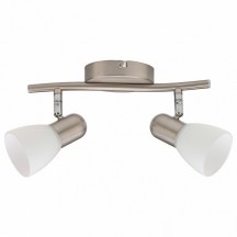 Спот Toplight Violet TL1231Y-02SN