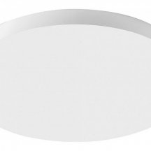 Потолочный светильник Feron 48887