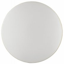 Настенно-потолочный светильник Sonex Smalli 3066/AL