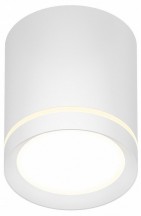 Накладной светодиодный светильник Denkirs DK4016-WH