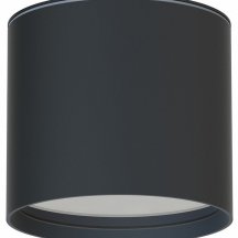 Накладной светильник Favourite Fantum 4663-1U