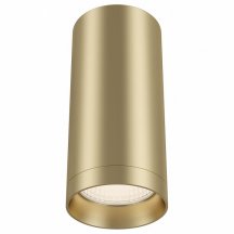 Немецкий потолочный светильник Maytoni Alfa C010CL-01MG