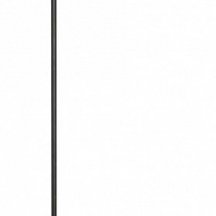 Настенный светильник Loft IT Meridian 10132/G Black