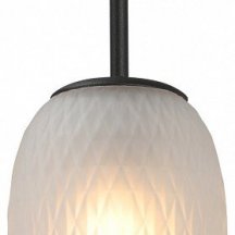 Потолочная люстра Vitaluce V28210-1/1S