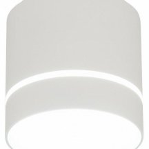 Накладной светильник Citilux Борн CL745020N