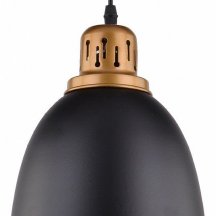 Кухонный подвесной светильник Arte Lamp Eurica A4245SP-1BK