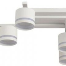 Потолочная люстра Lumion Agnia 8303/10C