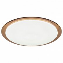 Потолочный светодиодный светильник ЭРА SPB-6-70-RC Saturn (B)