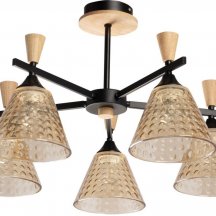 Потолочная люстра DeMarkt Дэла 635015605