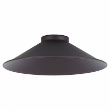  в стиле лофт Citilux  cL450.11
