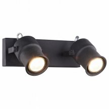 Потолочный светильник в стиле лофт Favourite  2026-2W