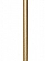 Настенный светильник с выключателем Aployt Merian APL.019.11.07