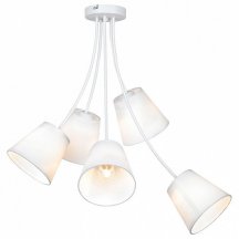 Люстра для гостиной Lussole Lafayette GRLSP-8267