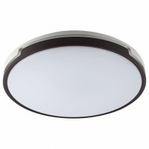 Потолочный светодиодный светильник ЭРА Классик с ДУ SPB-6-70-RC Sance Б0051098