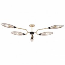 Люстра для кухни Maytoni Ventura MOD012CL-06G