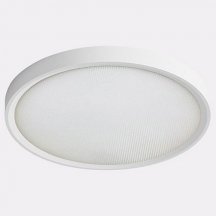 Потолочный светодиодный светильник Italline IT011-5021 white