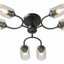 Потолочная люстра Vitaluce V2822-1/6PL