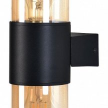Настенный светильник уличный Arte Lamp Seginus A6515AL-2BK