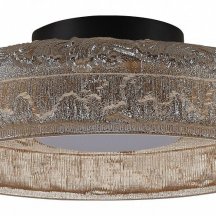 Накладной светильник ST-Luce ANTIKE SL6143.422.01