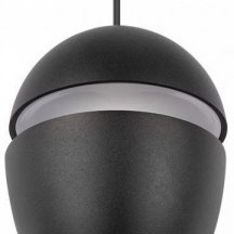 Подвесной светильник Loft IT Viterbo 10336 Black