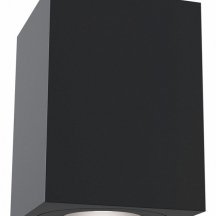 Потолочный светильник Maytoni Alfa C017CL-01B